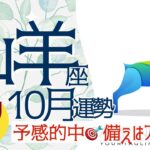 【10月 山羊座】予感的中🎯備えは万全❗今月は自分を優先させて〜👍✨🔮タロット&オラクル