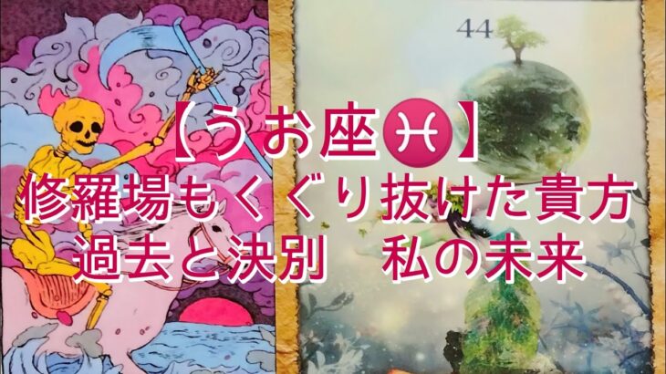 【うお座♓】修羅場もくぐり抜けた貴方　過去と決別　私の未来