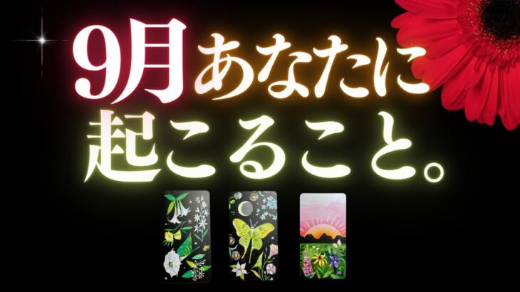 🦋9月のタロット＆オラクル占い🌈あなたの運勢DEEPチェック✔︎ 何があなたを待っている？ 🗓マンスリー画報 SETEMBER 2023 🔮カードリーディング #tarot (2023/9/1）