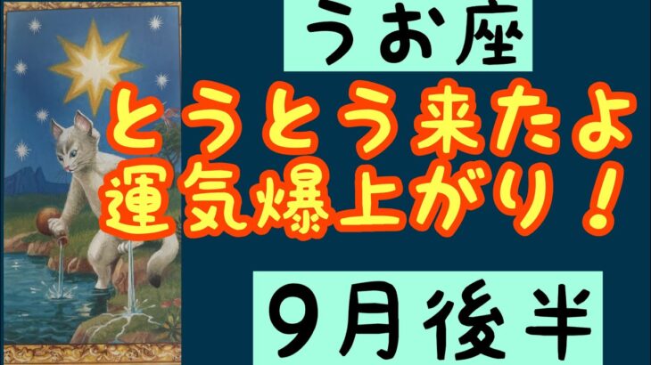 【9月後半の運勢】うお座　とうとう来たよ、運気爆上がり！超細密✨怖いほど当たるかも知れない😇#星座別#タロットリーディング#うお座