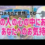 あの人の心の中、あなたへの気持ち🦋恋愛タロット🦋相手の気持ち🦋片思い復縁複雑🦋個人鑑定級占い