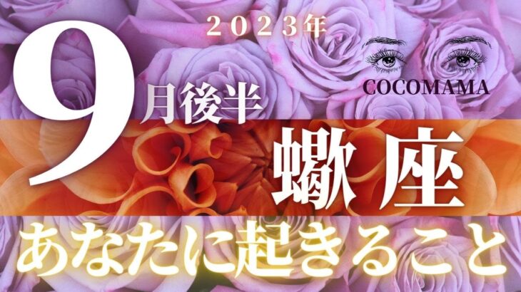 蠍座♏️ 【９月後半⭐あなたに起きること】２０２３　ココママの個人鑑定級タロット占い🔮