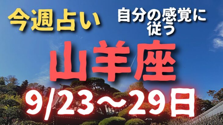 山羊座♑️今週占い🔮9/23〜29日まで💫カードリーディング