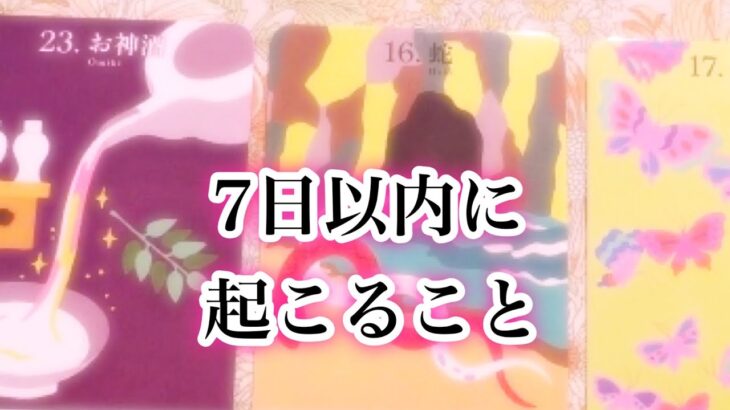 ７日以内に起こること【タロット】