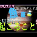 【9/4~12/31木星♃逆行で魚座♓️さんに起きることとは⁉️】人間関係での終わりと始まり#直感リーディング #タロット占い #2023