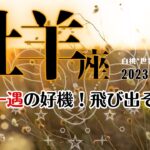 牡羊座♈2023年10月★千載一遇の好機！飛び出そう！