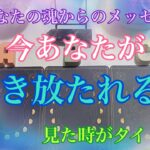 すでに解き放たれていらっしゃる方もいらっしゃいました⭐️💐【数秘術占い師のカードリーディング】