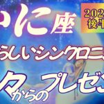 【蟹座♋9月後半運勢】精一杯やってきたアナタへ神々からのプレゼント♡　嬉しいシンクロニシティと、心配事からくる緊張からの開放♬　✡️キャラ別鑑定付き✡️　❨タロット占い❩