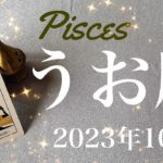 【うお座】2023年10月♓️見えてくる光、心の底から、リセット、沼から出るとき、幻想からの解放、未来を照らす星