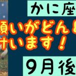 【9月後半の運勢］蟹座　願いがどんどん叶います！超細密✨怖いほど当たるかも知れない😇#星座別#タロットリーディング#蟹座