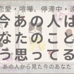 【複雑恋愛・喧嘩、停滞中・遠距離】今あの人はあなたのことをどう思ってる？【タロット・オラクル・占い】