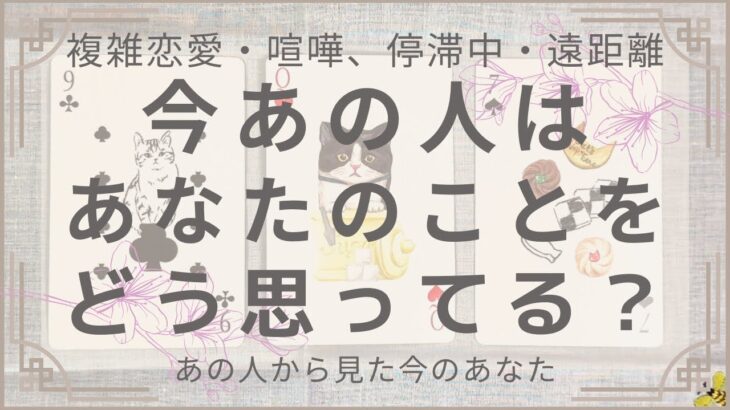 【複雑恋愛・喧嘩、停滞中・遠距離】今あの人はあなたのことをどう思ってる？【タロット・オラクル・占い】