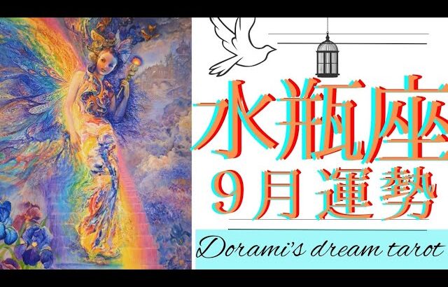 《水瓶座》2023年9月の運勢　運命が動く！！遊ぶように生きていく分岐点🙌💐✨️もっともっと軽くなっていく☺️幸運が訪れようとしています💖引いた目線で全体を見る🌍️✨