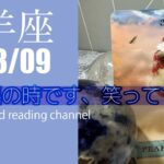 【牡羊座】2023/9月　月別リーディング　「至福の時です、笑ってて！」