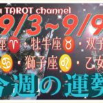 何が起きる⁉️牡羊座♈牡牛座♉️双子座♊️蟹座♋獅子座♌️乙女座♍️【9/3~9/9週間リーディング】#直感リーディング #タロット占い #2023