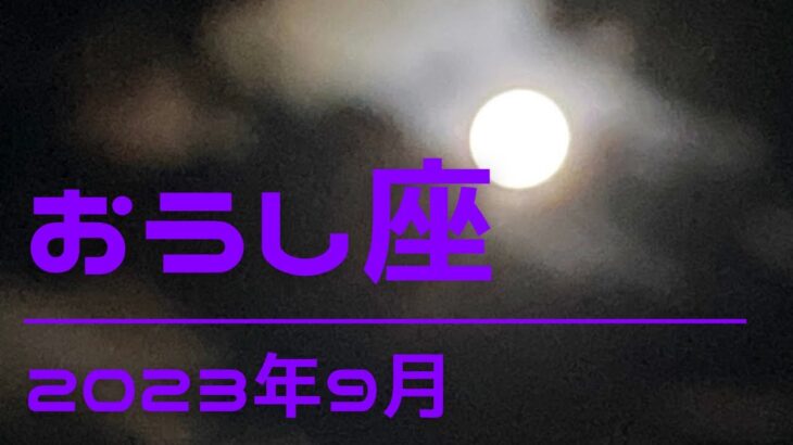 おうし座　2023年9月  #おうし座 #牡牛座 #2023年 #リーディング #オラクル