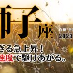 獅子座♌2023年10月★凄すぎる急上昇！最高速度で駆けあがる10月