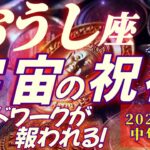 【牡牛座♉9月中旬運勢】驚かないでください♬アナタ様は宇宙から祝福されて当然なことを続けてきたのです！　はい！と御遠慮なきよう♬　✡️キャラ別鑑定付き✡️　❨タロット占い❩