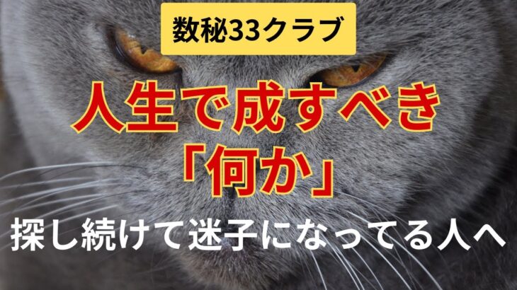 【数秘33クラブ】33以外の人にも見て欲しい　人生で成すべき「何か」や、「何者か」になることについて