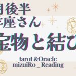 【牡羊座】凄すぎて感動！！ 驚きの大展開！！  仕事運 /対人運 /恋愛運・家庭運/全体運/星座別リーディング/タロット占い /9月後半