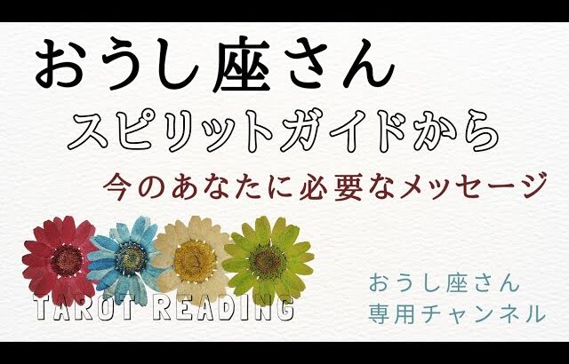 【見た時がタイミング】スピリットガイドからのメッセージ👼🍒（2023/9/4）