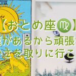 【おとめ座♍】目標があるから頑張れる　豊かさを取りに行こう！