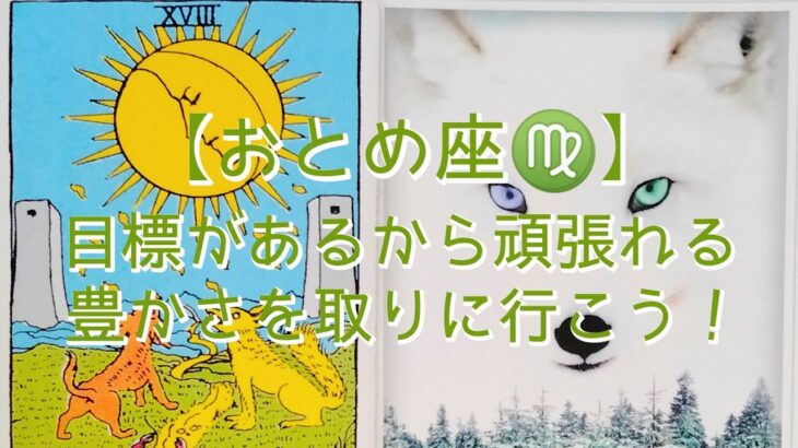 【おとめ座♍】目標があるから頑張れる　豊かさを取りに行こう！