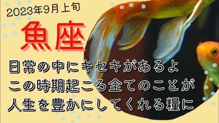 9月上旬魚座♓️日常の中にキセキがあるよ。この時期起こる全てのことが、これからの人生を豊かにしてくれる糧となっていく。