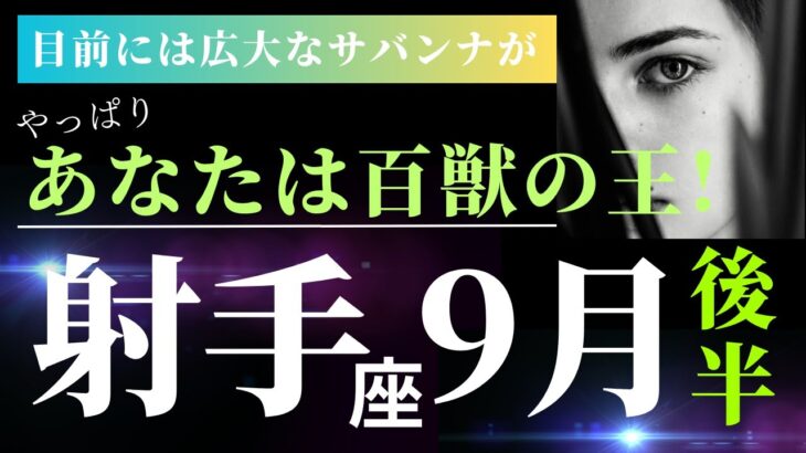 射手座9月後半【神回】ラストまで鳥肌の連続！射手座さんはやっぱり気高く賢い方！タロット＆オラクルカードリーディング