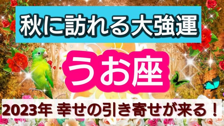 魚座【緊急！秋に訪れる大強運】2023年の秋、あなたに起こる幸せの引き寄せは？