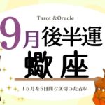 ※個人鑑定級【蠍座♏️】2023年9月後半運勢✨周りの方に感謝をする事が大切な運気😊🙌🌈想定外の事があったり✨改善したい事と向き合って行動を起こす事もあるかも✨良い方向へ進んでいきそうです✨