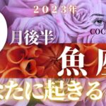 魚座♓️ 【９月後半⭐あなたに起きること】２０２３　ココママの個人鑑定級タロット占い🔮