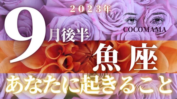 魚座♓️ 【９月後半⭐あなたに起きること】２０２３　ココママの個人鑑定級タロット占い🔮