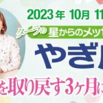 ♑️やぎ座さん【10月11月12月】年末までの流れを占星術で解説！