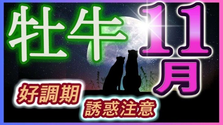 【2023年11月の運勢・牡牛座（おうし座）】西洋占星術×東洋占×タロット…水森太陽が全体運・仕事運・金運＆恋愛運を占います