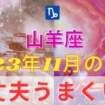 やぎ座さん⭐️11月の運勢⭐️心配いりません🍀すべてうまくいきますよ✨【タロット&星】