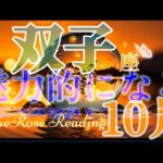 【ふたご座♊】10月運勢🌈もっと自由に魅力的になる🧚緩やかな流れに身を任せて🌊✨#lenormand #tarotreading #タロット #レムリア