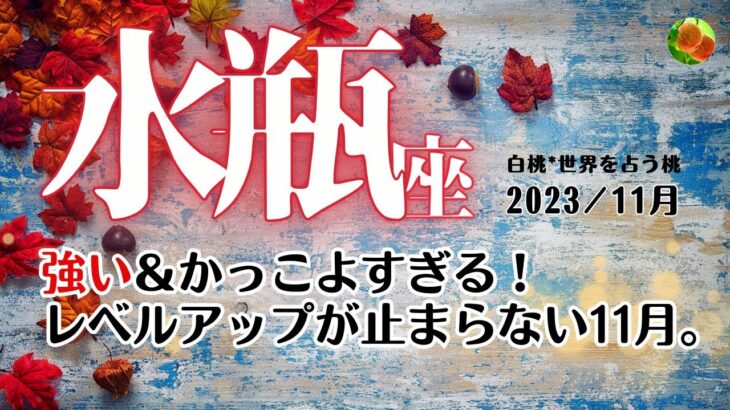 水瓶座♒2023年11月★強い＆かっこよすぎる！レベルアップが止まらない11月。