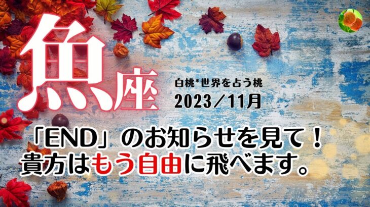 魚座♓2023年11月★「END」のお知らせを見て！貴方はもう自由に飛べます。