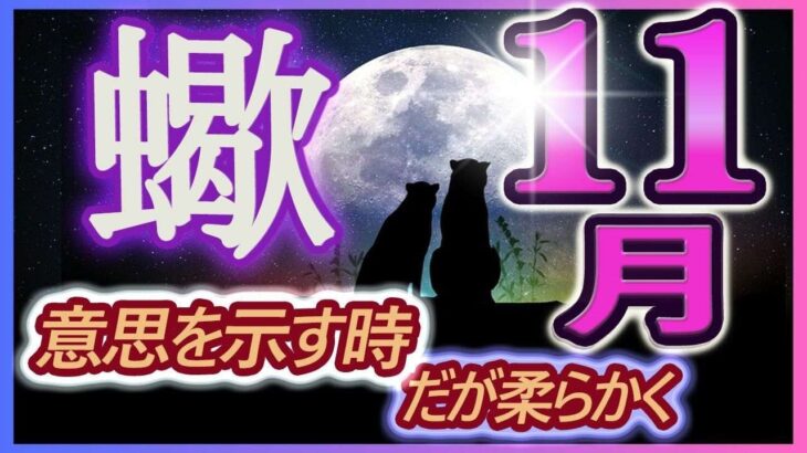 【2023年11月の運勢・蠍座（さそり座）】西洋占星術×東洋占×タロット…水森太陽が全体運・仕事運・金運＆恋愛運を占います