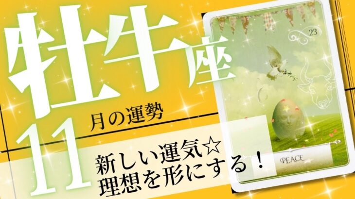 牡牛座♉️ 2023年11月の運勢🌈開運拡大路線✨✨大きなビジョンを叶えていく❗️💖癒しと気付きのタロット占い🔮