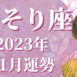 【さそり座11月】もう”我慢”は終わり、あなたの人生を切り拓く、”強み”を活かして大活躍できます🌈無理しすぎに気を付けて、自分の殻を破るときです【タロット占い】【占い】【蠍座】【占星術】