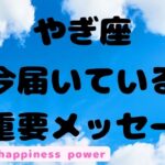 【山羊座】鳥肌が立つリーディングでした❣　#タロット、#オラクルカード、#当たる