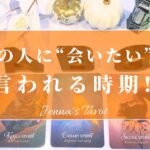 あの人に会いたい…【恋愛💓】あの人に”会いたい”と言われる時期【タロット🔮オラクルカード】片思い・復縁・複雑恋愛・疎遠・音信不通・冷却期間・サイレント期間・あの人の気持ち・本音・未来・恋の行方