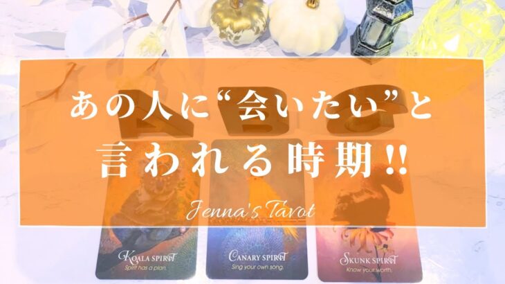 あの人に会いたい…【恋愛💓】あの人に”会いたい”と言われる時期【タロット🔮オラクルカード】片思い・復縁・複雑恋愛・疎遠・音信不通・冷却期間・サイレント期間・あの人の気持ち・本音・未来・恋の行方