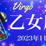 【おとめ座】2023年11月♍️運命は動き出している、一つの決着と見えてくる希望、照らされた道、明確にその意味が理解できるとき