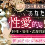 こう見えてます‥❤あなたの性愛な魅力❤️異性 同性 恋愛対象から見た❤️あなたの印象【忖度一切なし❤︎有料鑑定級❤︎】