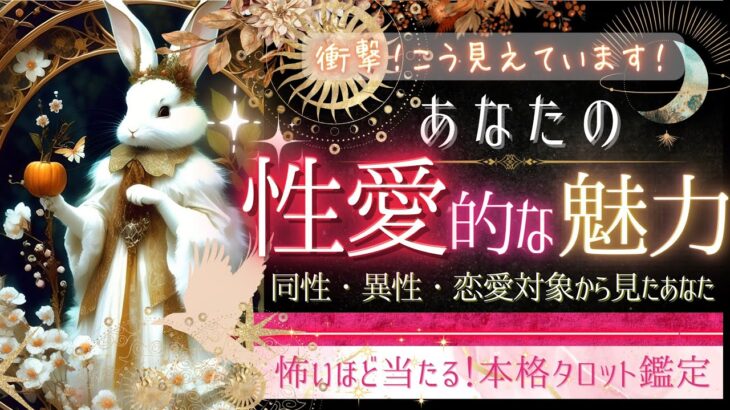 こう見えてます‥❤あなたの性愛な魅力❤️異性 同性 恋愛対象から見た❤️あなたの印象【忖度一切なし❤︎有料鑑定級❤︎】