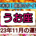 魚座【2023年１１月の運勢】💕明るい未来！最高のタイミング👑幸せを呼び込む！開運リーディング🌟