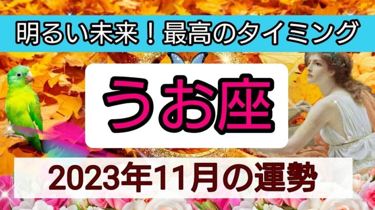 魚座【2023年１１月の運勢】💕明るい未来！最高のタイミング👑幸せを呼び込む！開運リーディング🌟